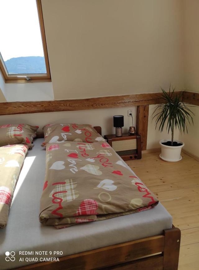 דצ'ין Art-House 4 Attic Apartment מראה חיצוני תמונה